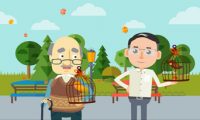 税收宣传flash动画制作